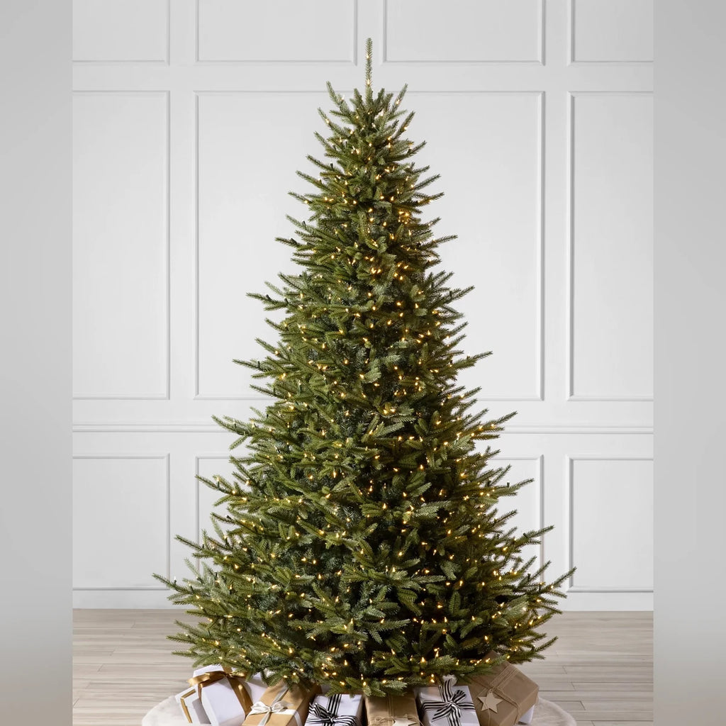 Árvore de Natal Pinheiro Norueguês do Norte