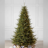 Árvore de Natal Pinheiro Norueguês do Norte