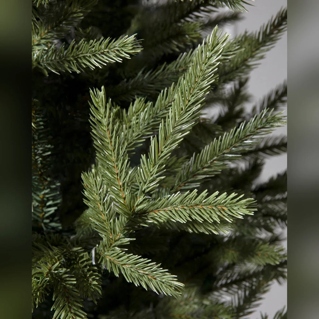 Árvore de Natal Pinheiro Norueguês do Norte