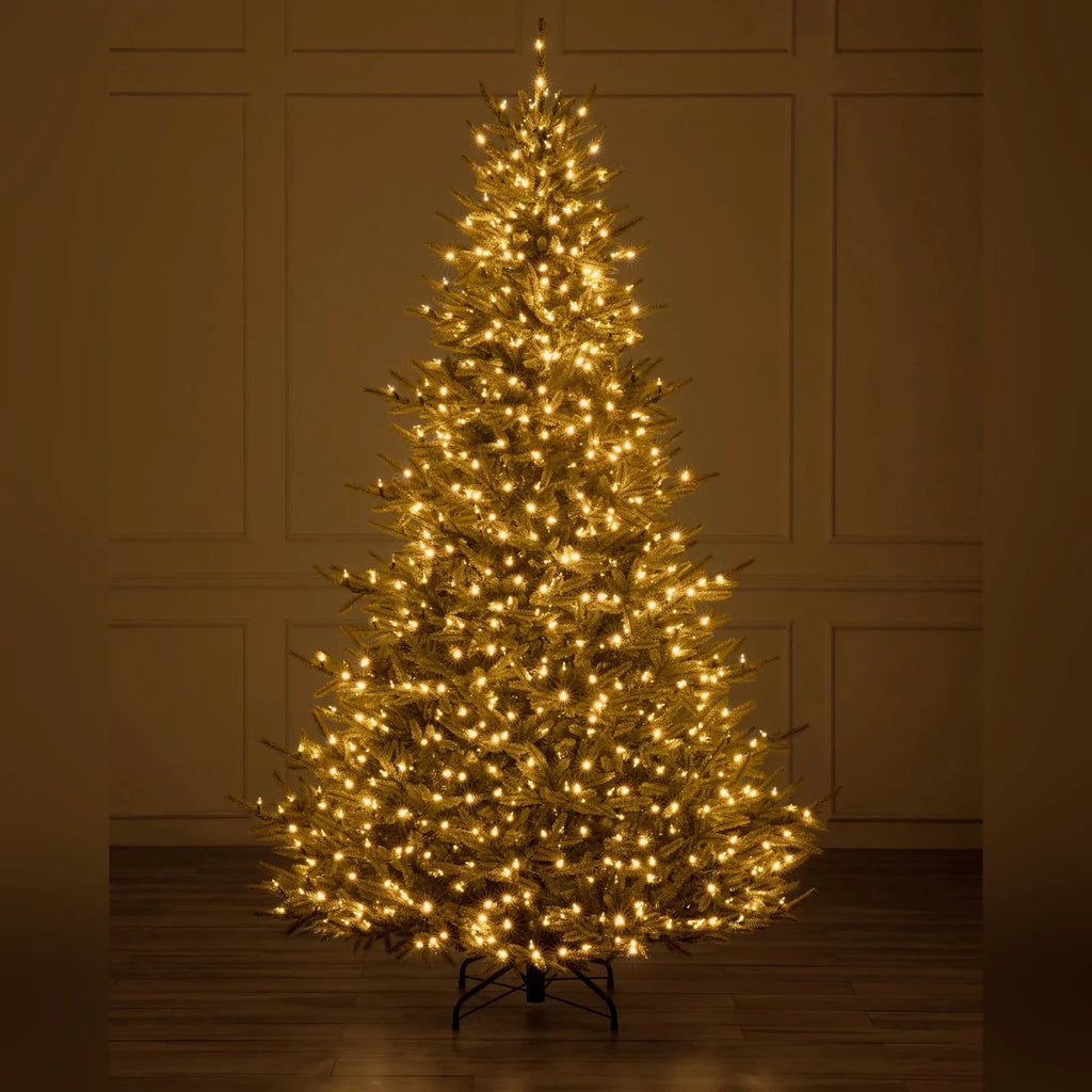 Árvore de Natal Pinheiro Norueguês do Norte