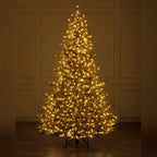 Árvore de Natal Pinheiro Norueguês do Norte