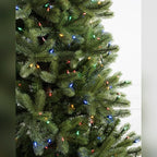 Árvore de Natal Pinheiro Woodland