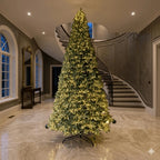 Árvore de Natal Gigante Iluminada Imperial - 4m a 7m LED Bivolt